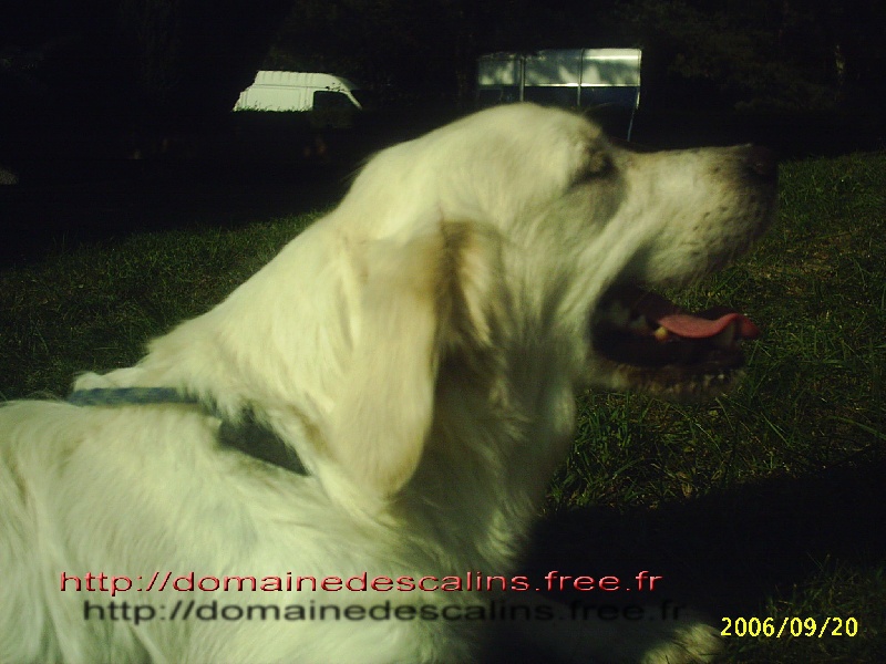 Athena des jardins d'Epona