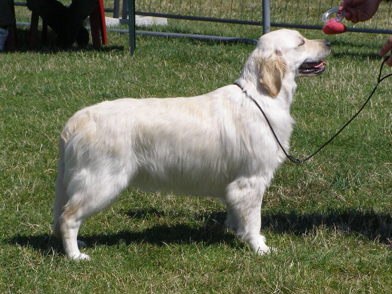 Dis moi comment des jardins d'Epona