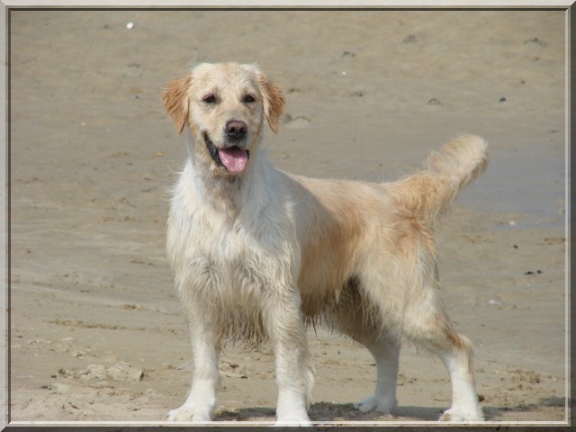 Vice versa (venus) des jardins d'Epona