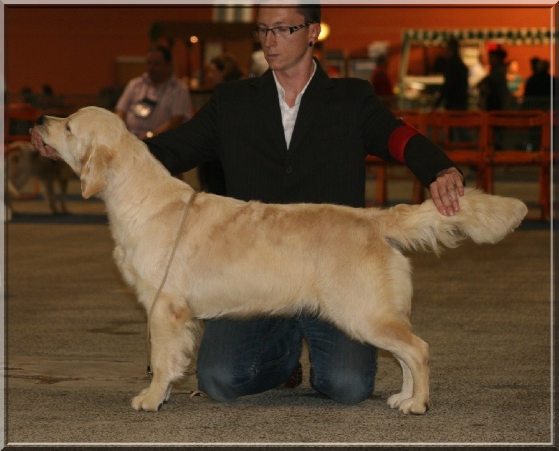 D'une union sacrée des jardins d'Epona