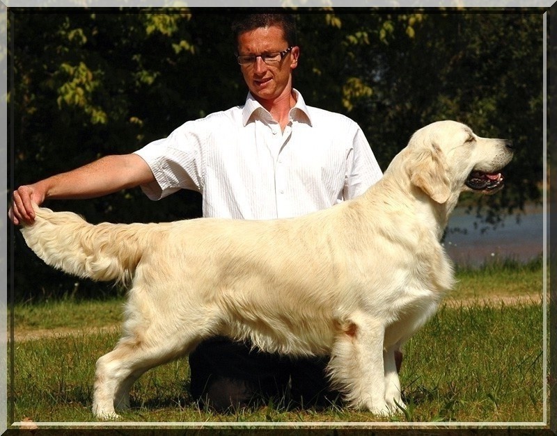 Aldo des jardins d'Epona