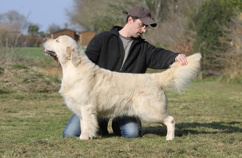 Apple pie des jardins d'Epona