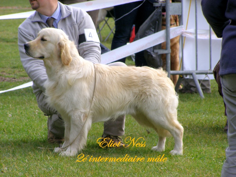 Eliot ness des jardins d'Epona