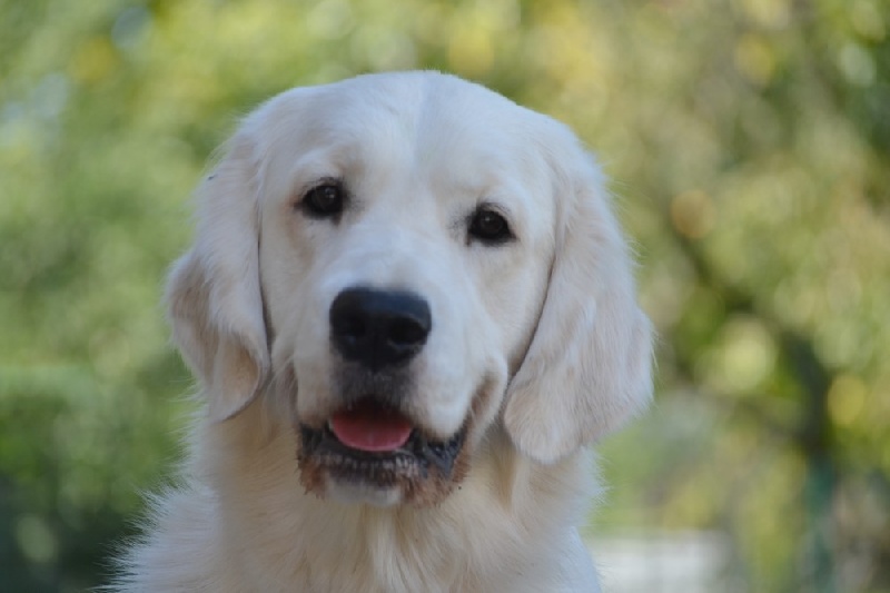 Finalement te voilà (dite funny) des jardins d'Epona