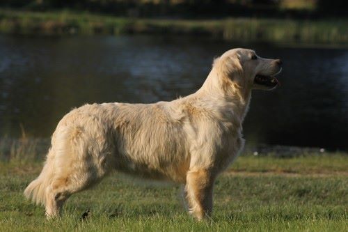 Imagina la niña des jardins d'Epona