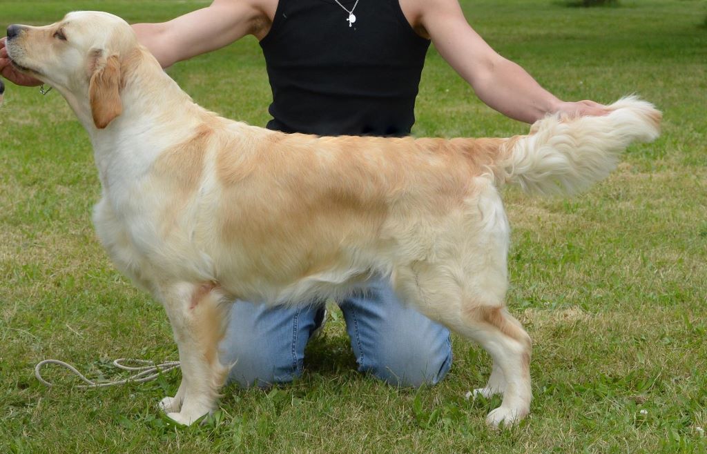 J'ai encore rêvé d'elle des jardins d'Epona