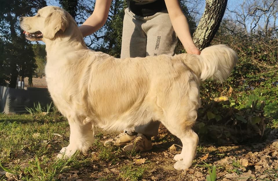 La belle eau pâle des jardins d'Epona